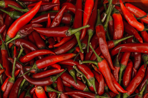 Courtier en Assurance Cayenne